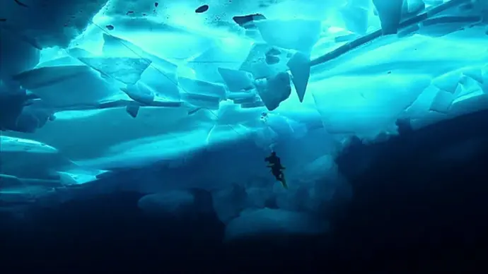 antarctique: les missions de re-shark